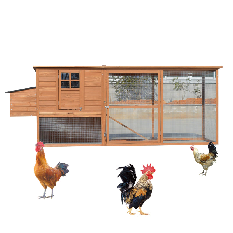 egg laying chicken coop