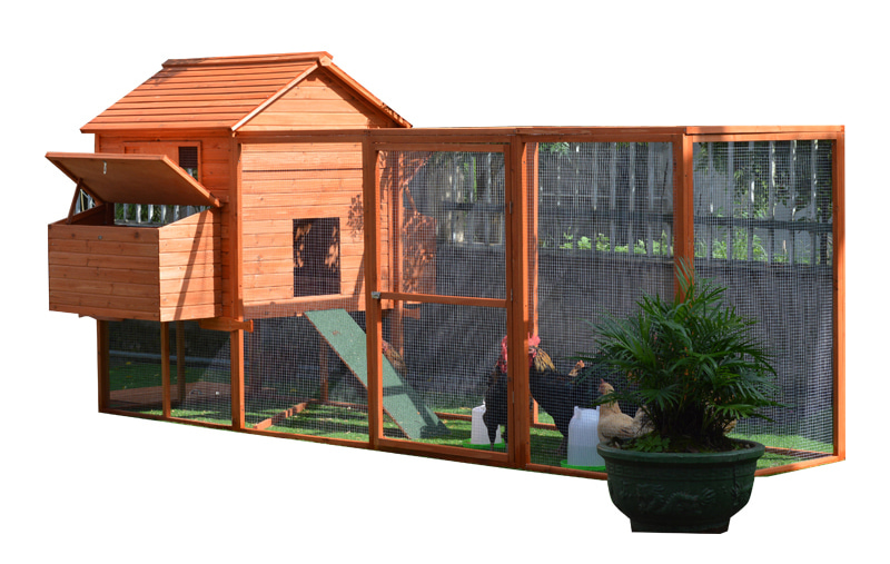 Outdoor brown-color backyard cute Chicken Coop