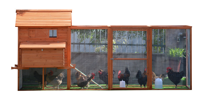wooden brown fir wood chicken coop with ramp