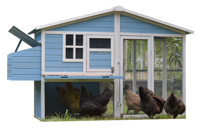 wooden blue cozy fir wood chicken coop with ramp