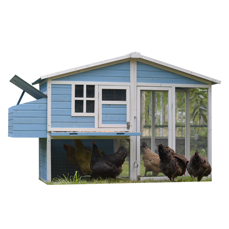 Backyard countryside style chicken coop