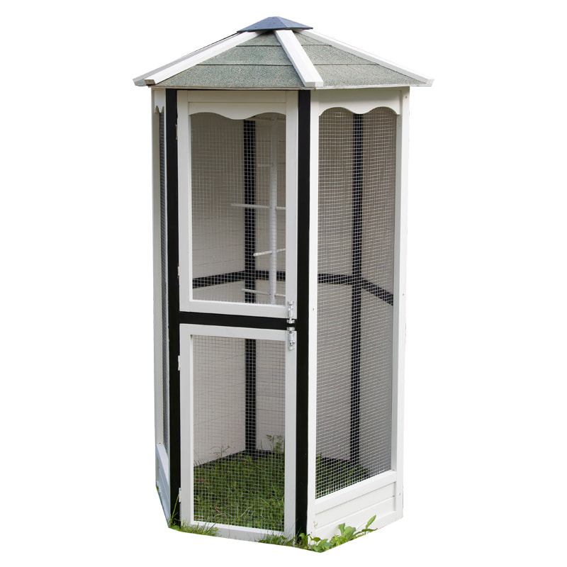Pavilion-style bird cage