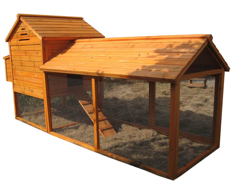 Outdoor brown-color backyard cute Chicken Coop