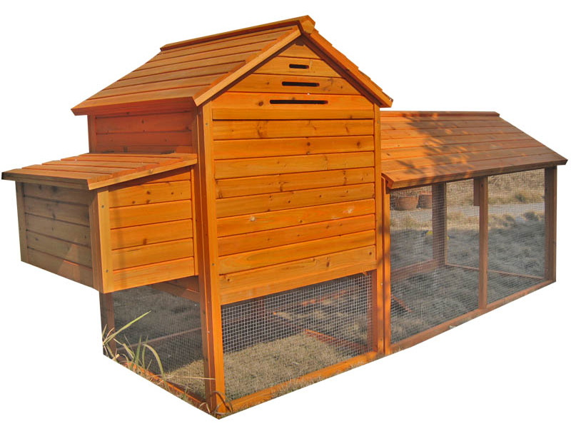 wooden blue cozy fir wood chicken coop with vent